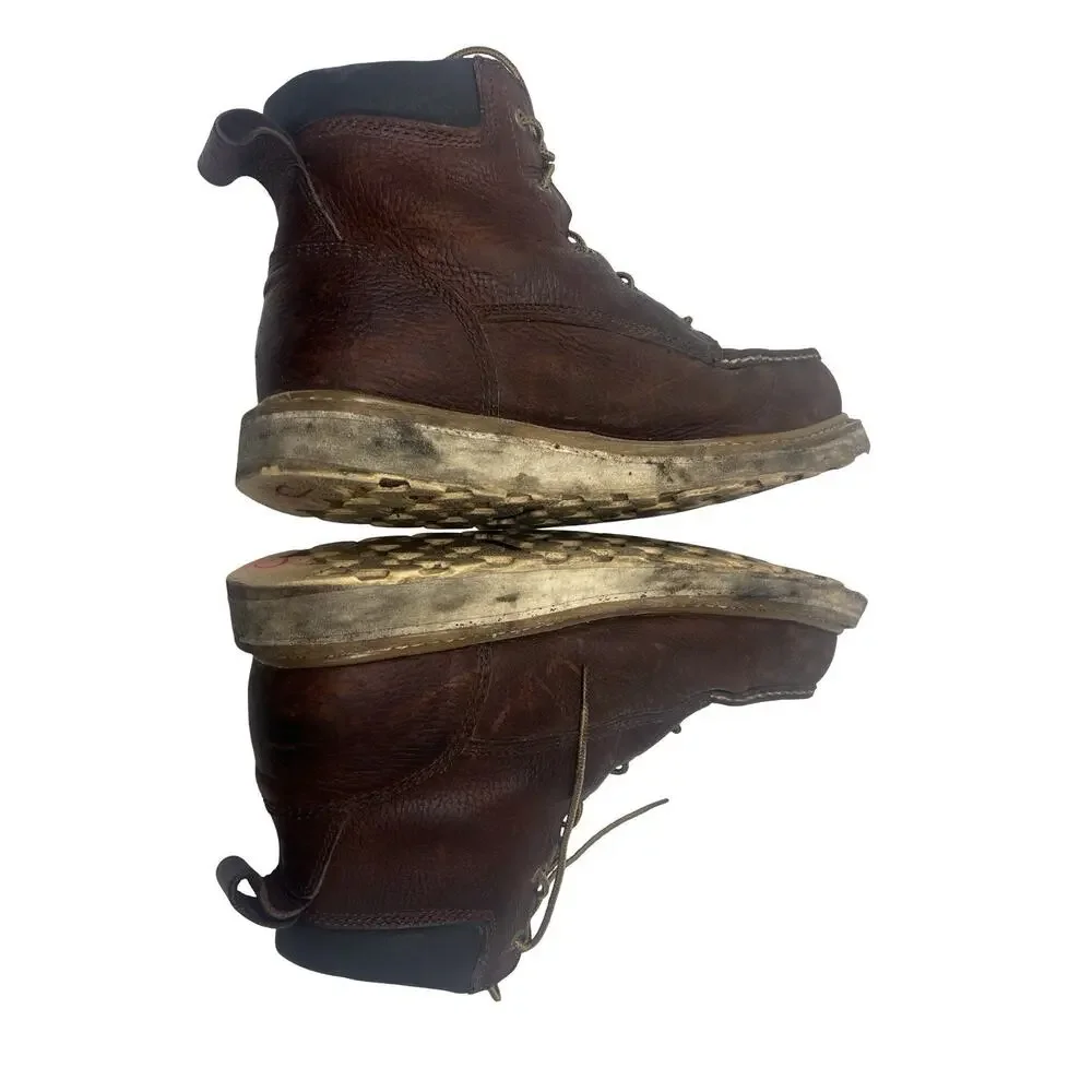 Irish Setter Ashby 6